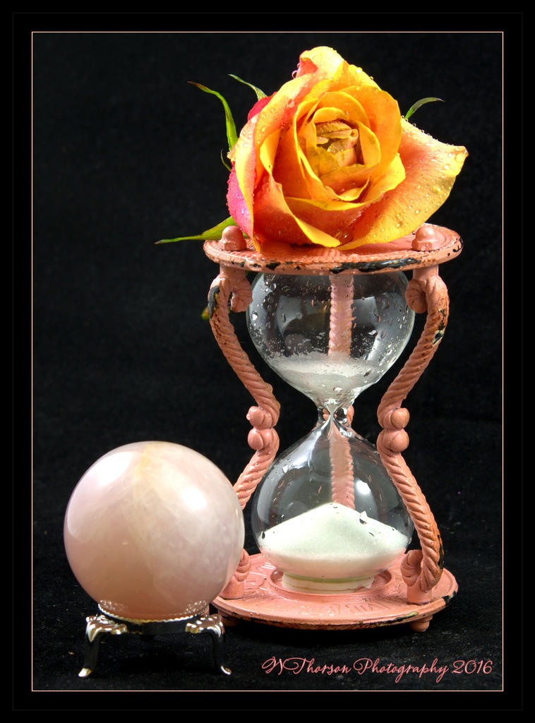 Peach Sand Timer and Rose 5-23-2016.jpg