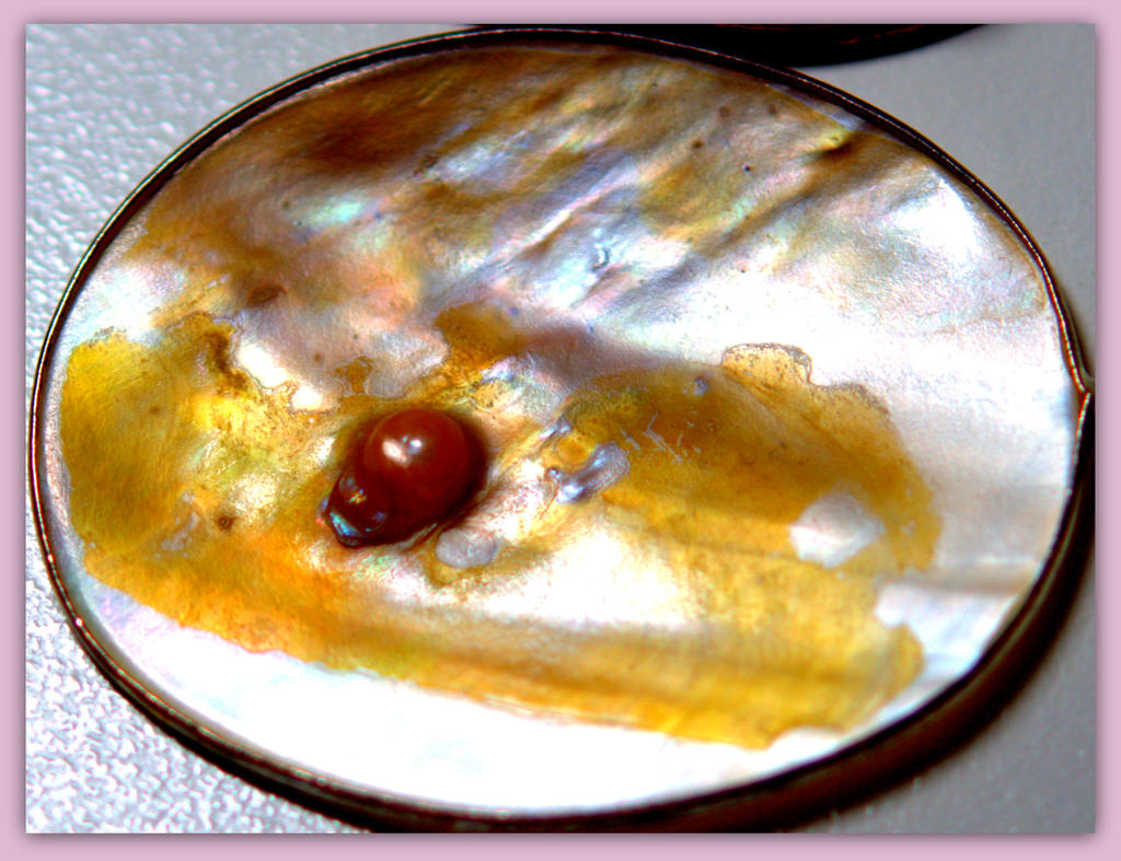 Pearl in the Shell.jpg
