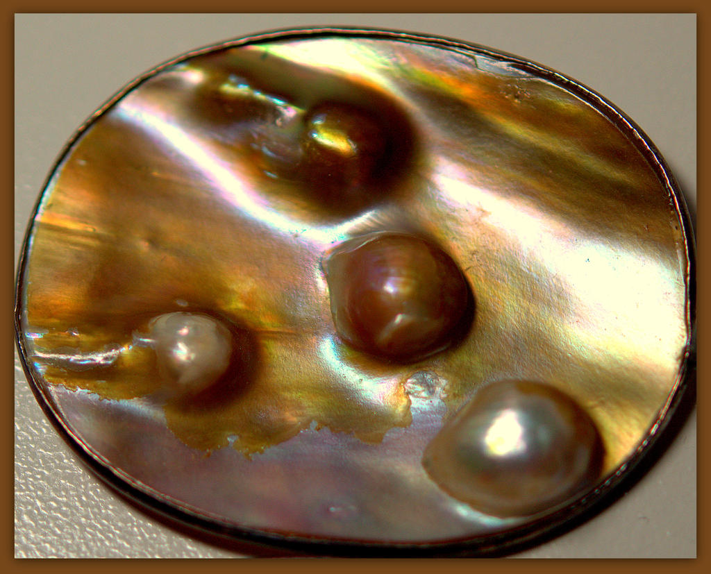 Pearls in the Shell.jpg