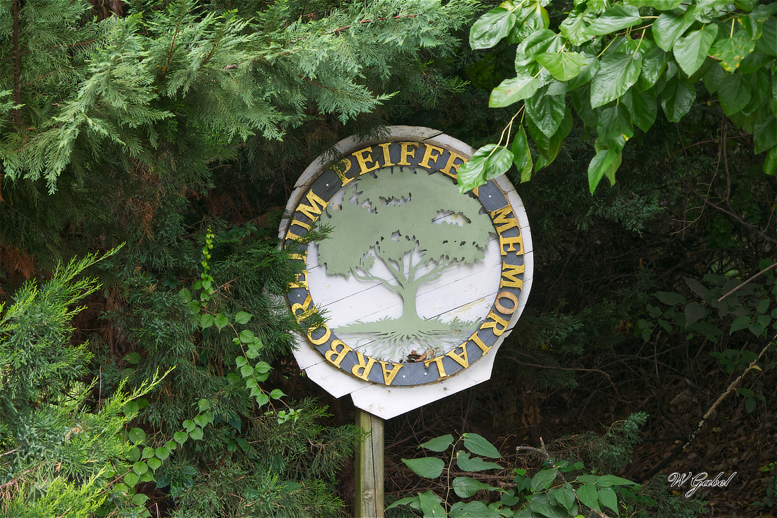 PeifferArbor1234 sm.jpg