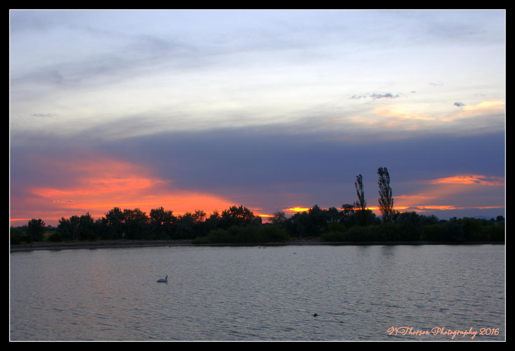 Pelican in the Sunset 6-30-2016.jpg