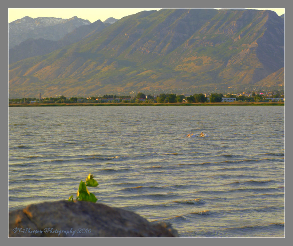 Pelican's and the Utah Lake Monster 6-21-2016.jpg