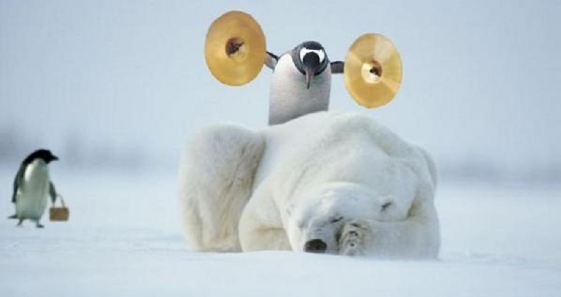 Penguin.jpg