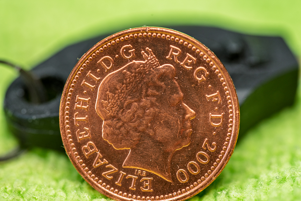 Penny at 1to1.jpg