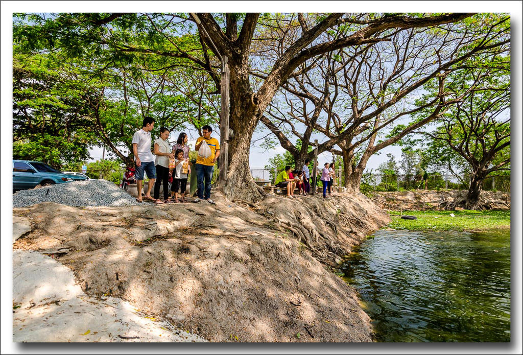 people-at-a-pond-1.jpg