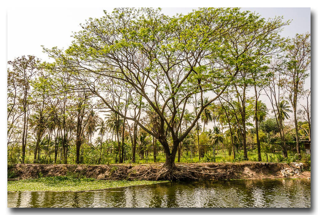 people-at-a-pond-4-FrameShop_1.jpg