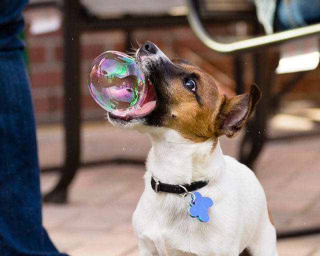 Perfect-Timed-Photos-10-934x.jpg