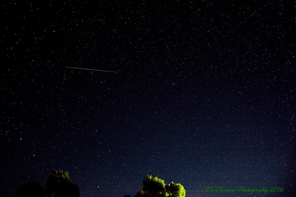 Perseid Meteor 8-11-2016.jpg