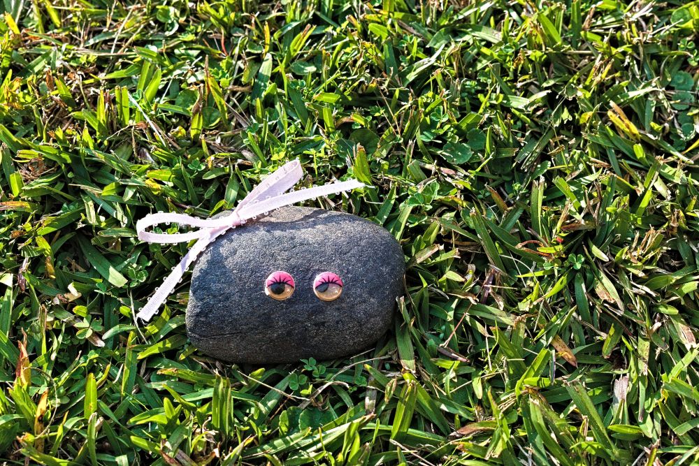 Pet Rock in Yard.jpg