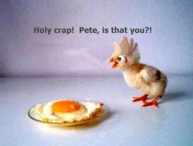 pete.jpg