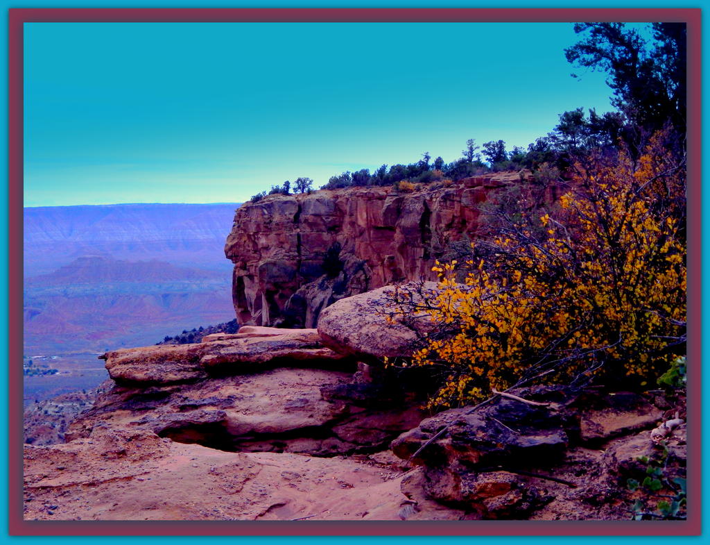Petrified Forest.jpg