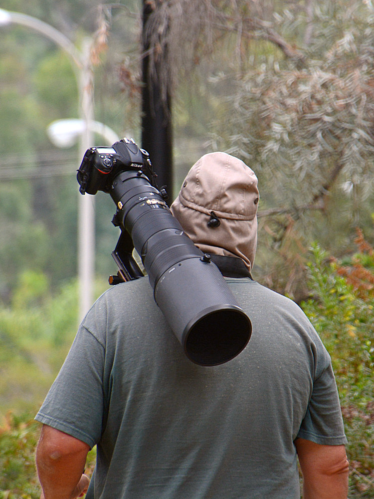 Photog.jpg