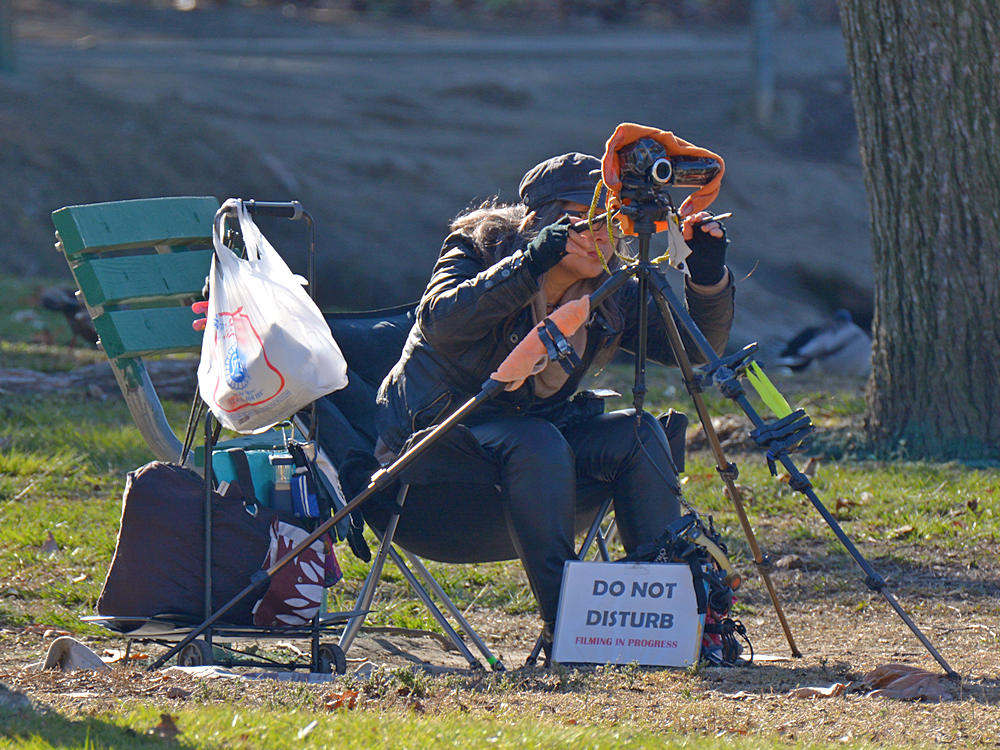 Photog.jpg