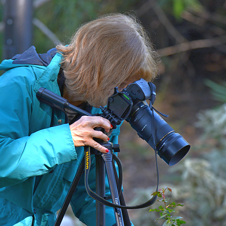 Photog.jpg