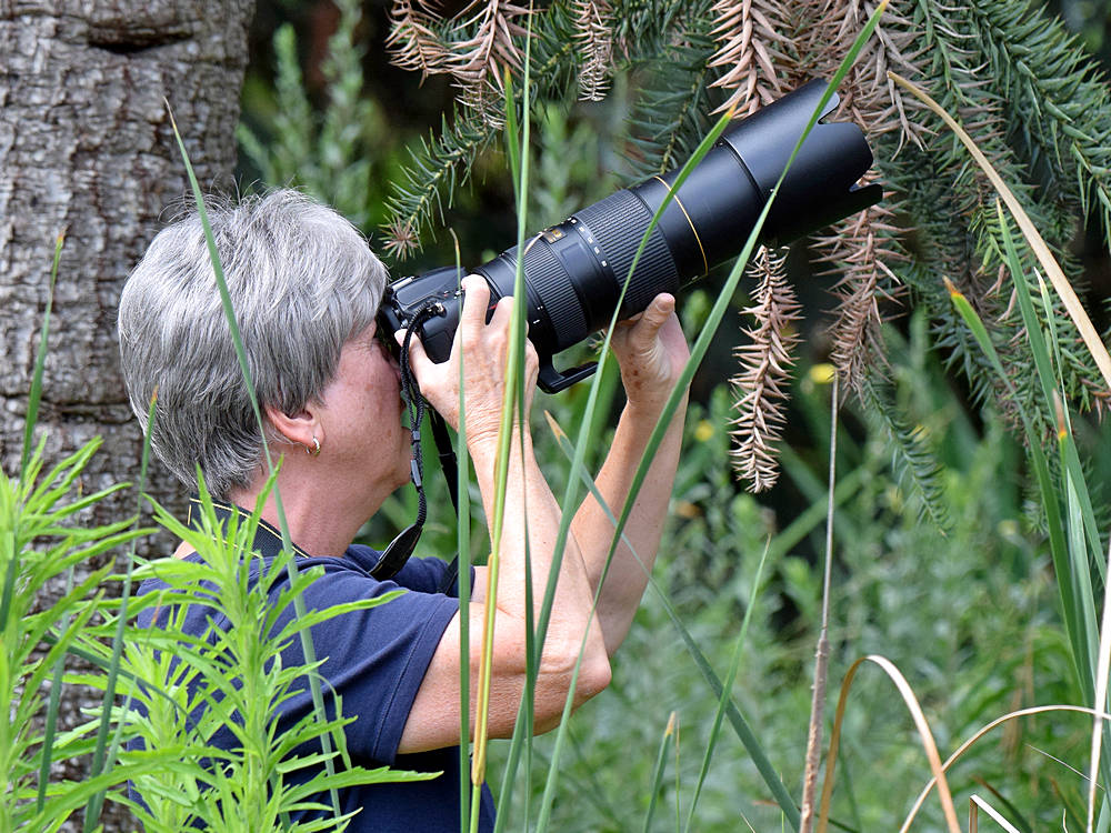 Photog.jpg