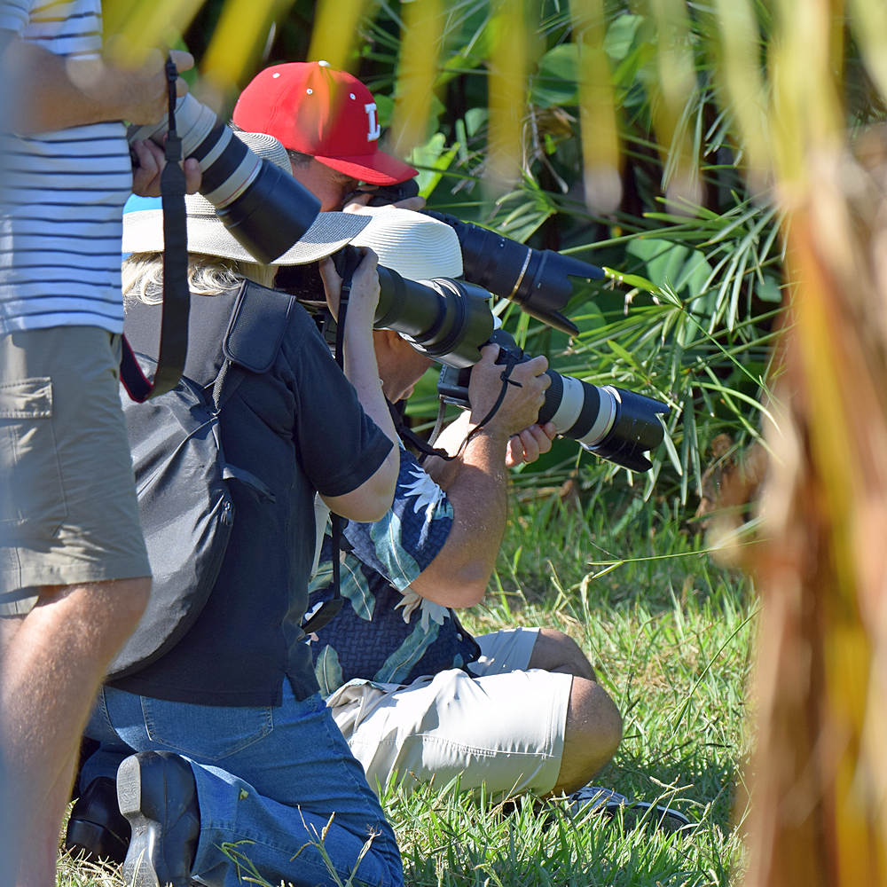 Photog.jpg