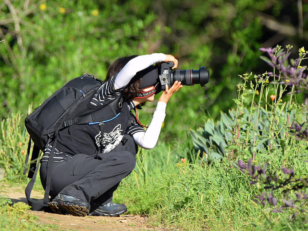 Photog.jpg