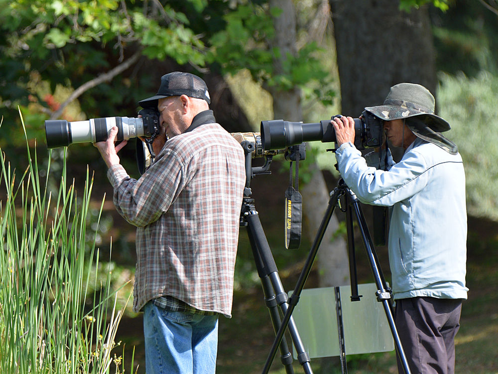 Photog.jpg