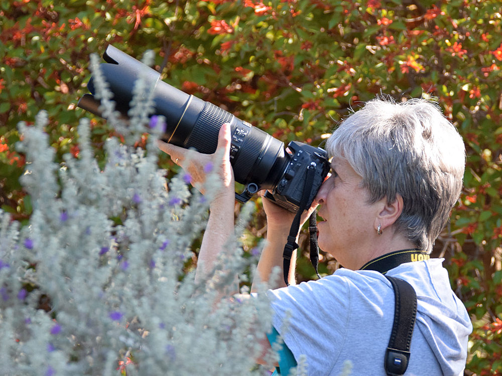 Photog.jpg