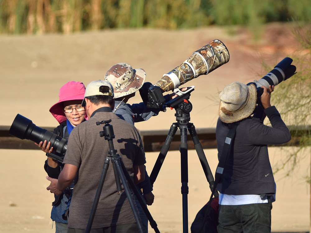 Photog.jpg