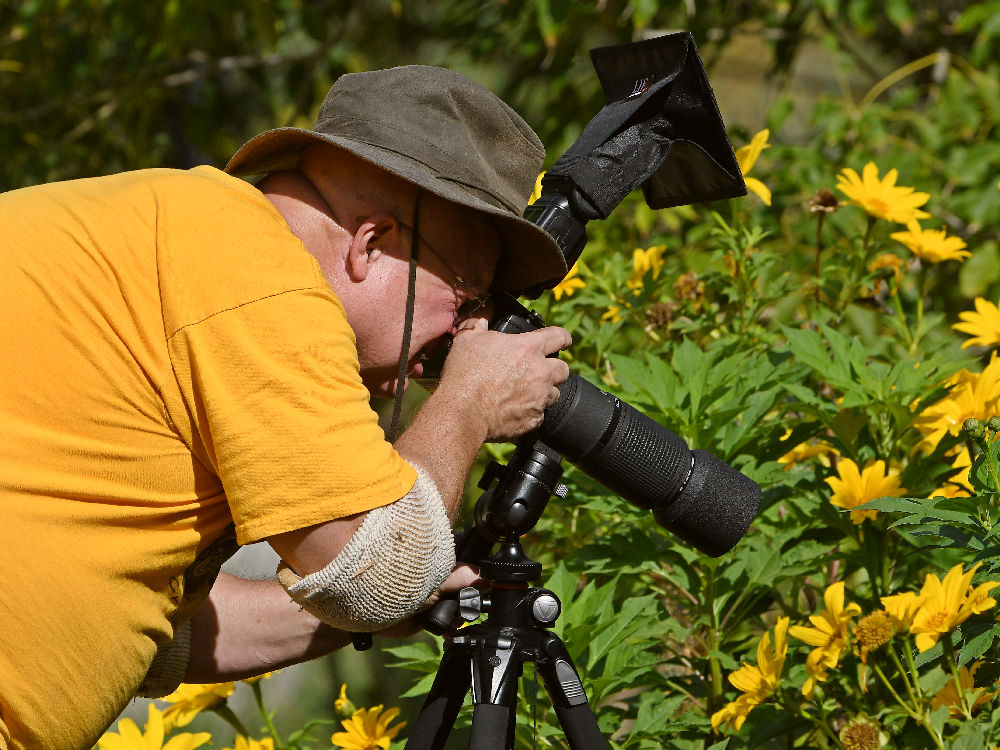 Photog.jpg