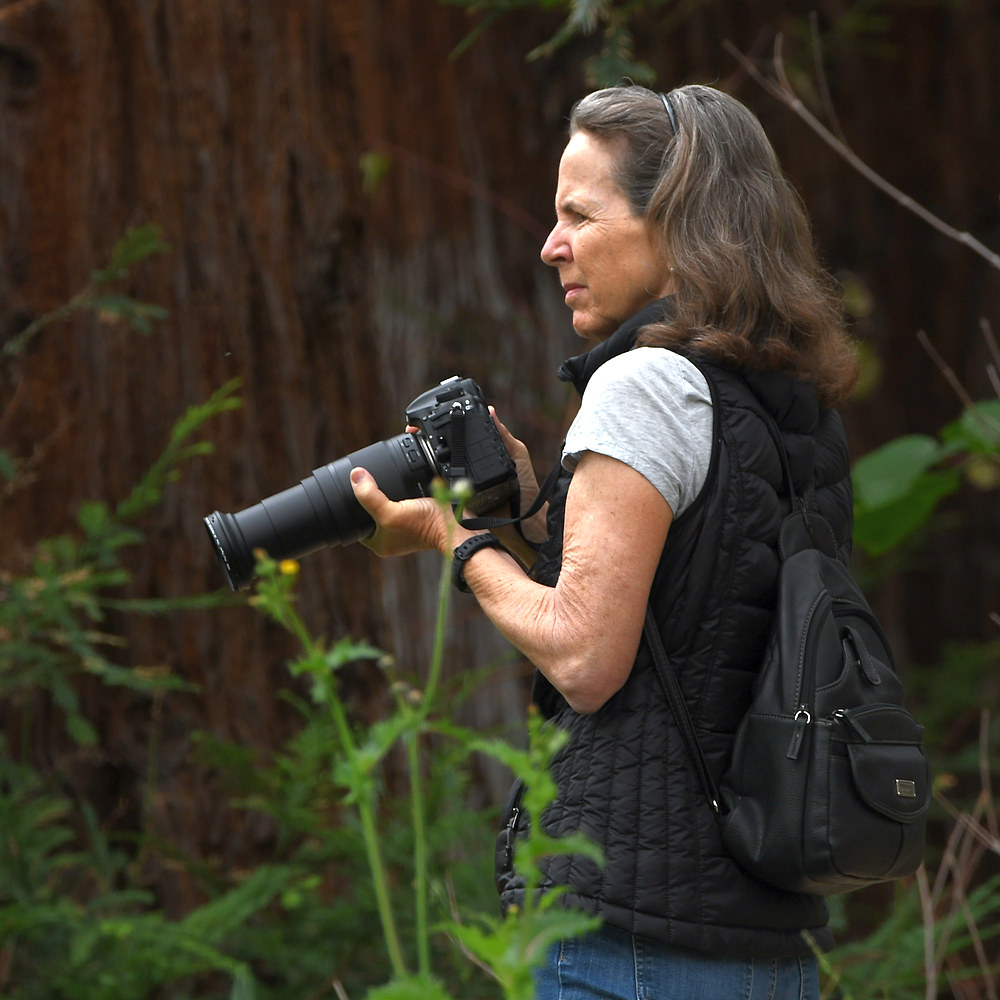 Photog.jpg