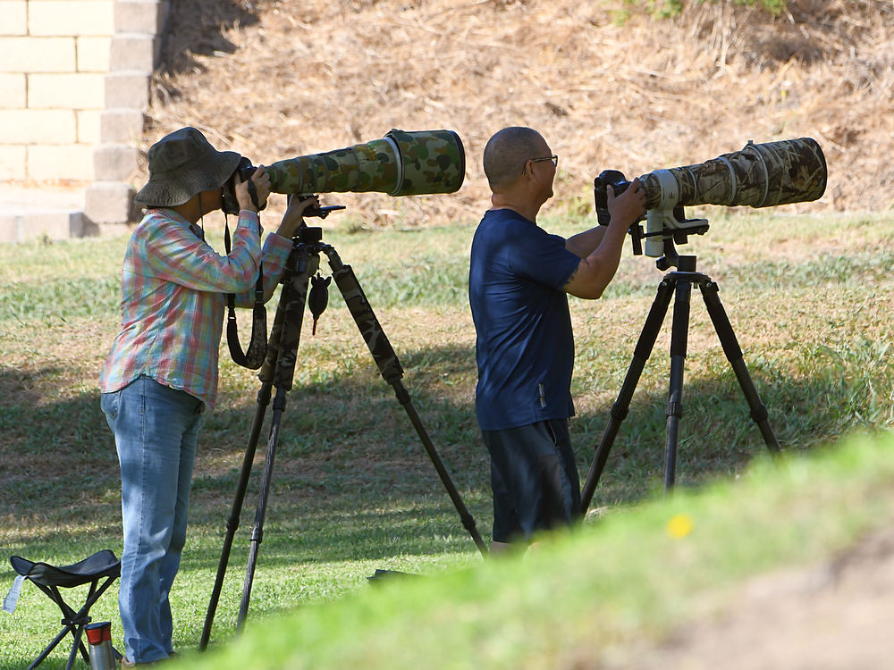 Photog.jpg