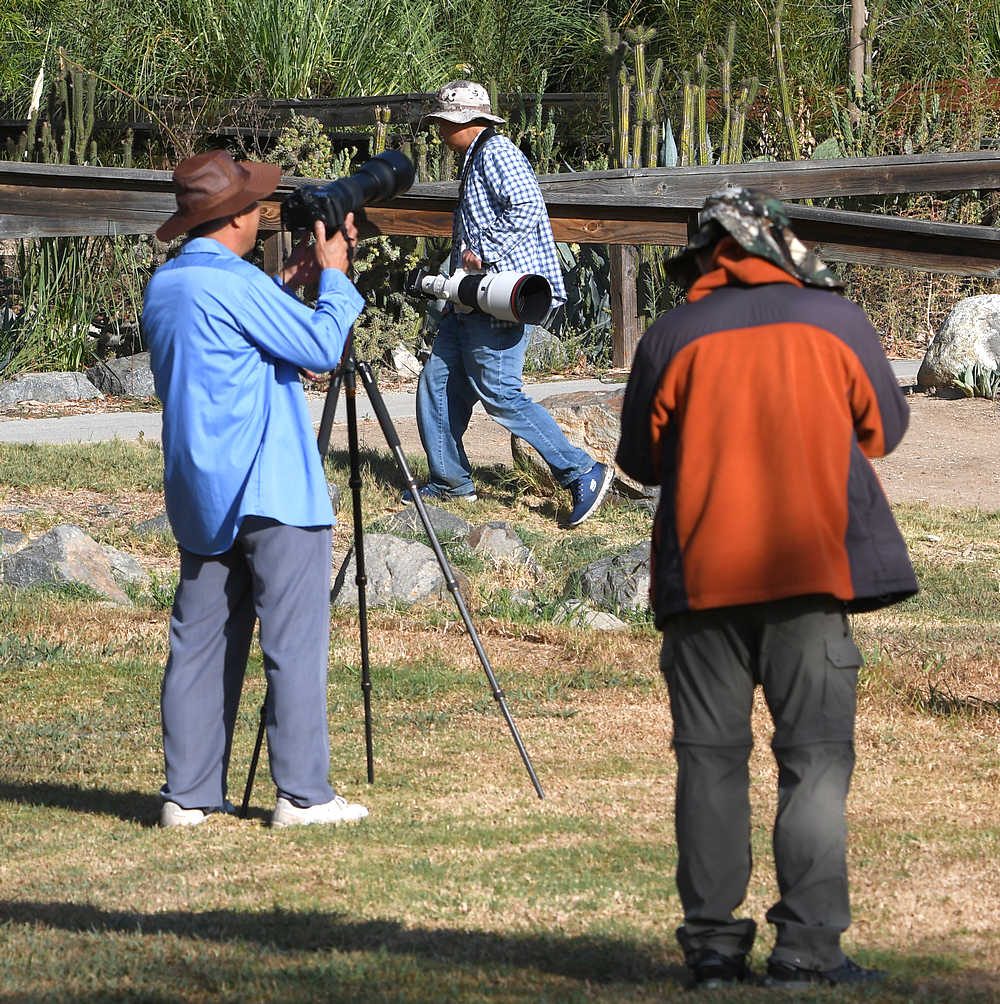 Photog.jpg