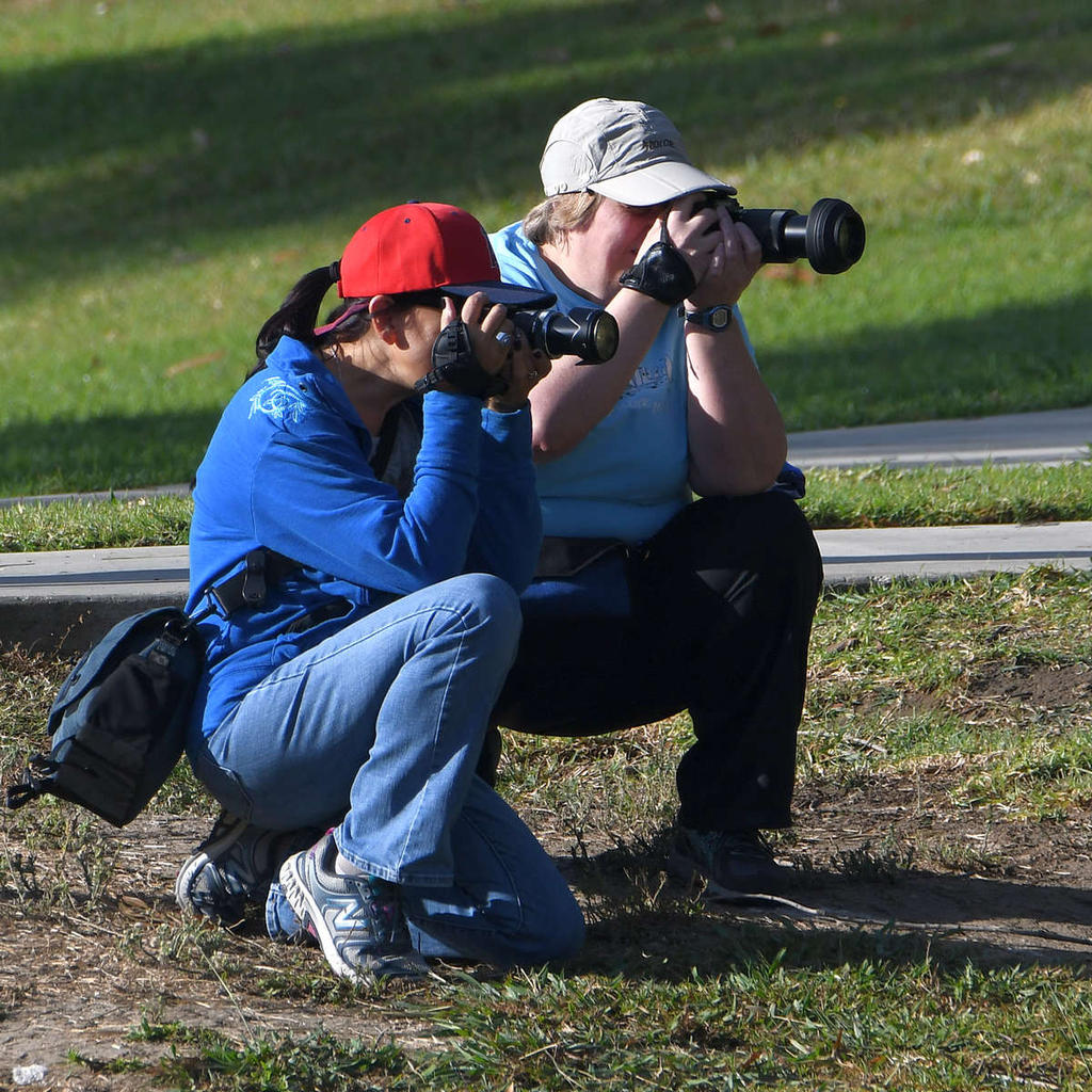 Photog.jpg