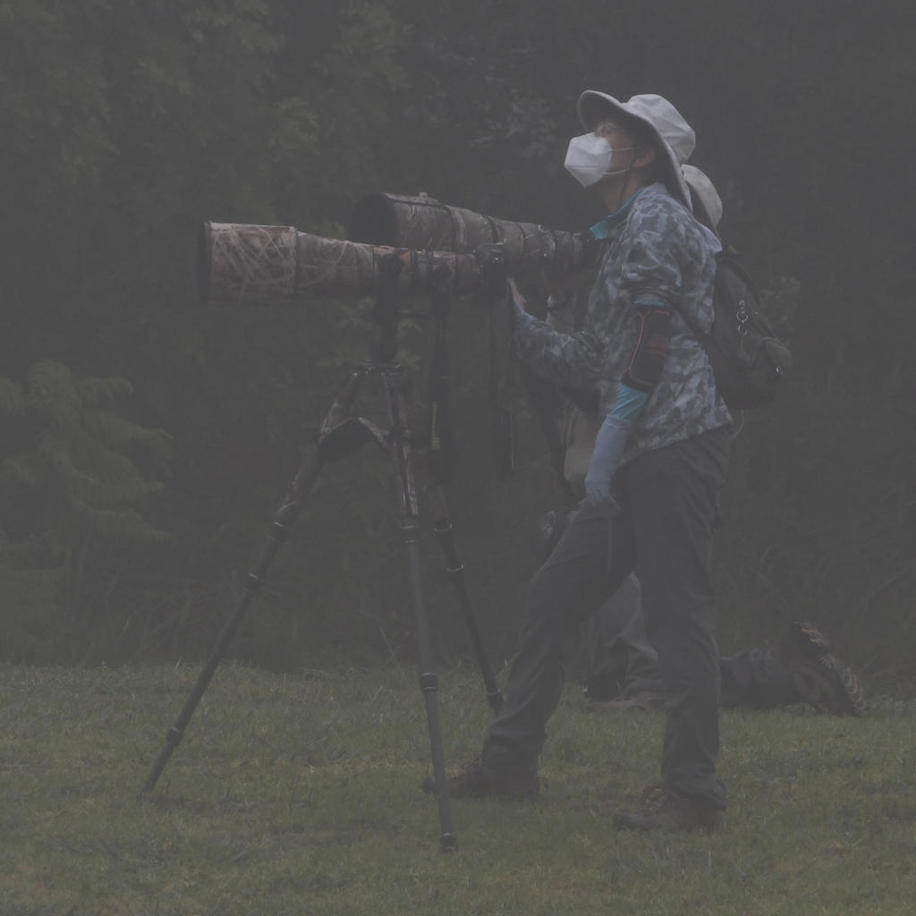 Photog.jpg
