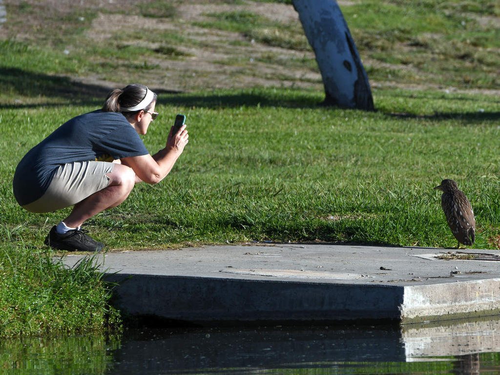 Photog.jpg