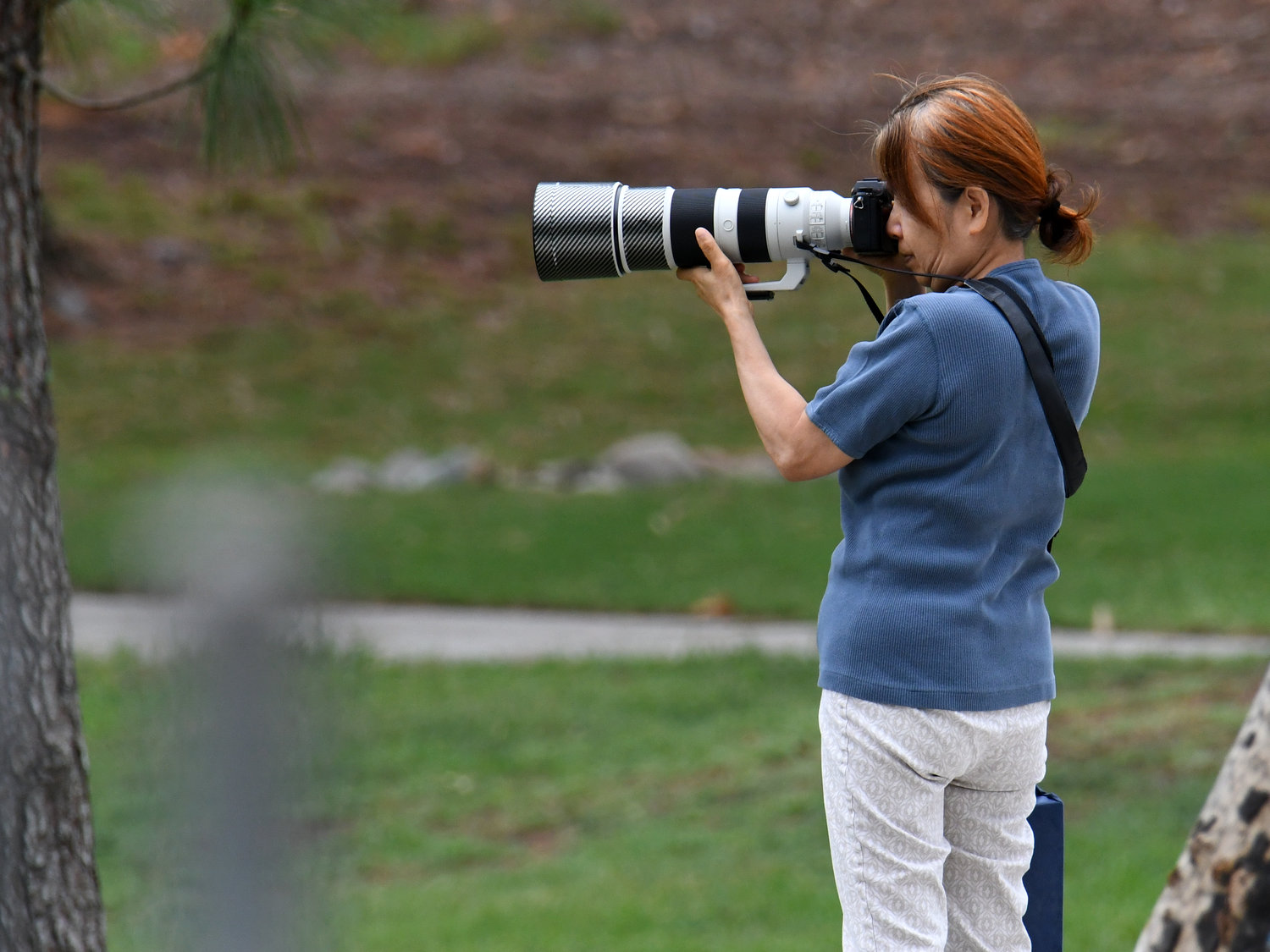 Photog.jpg