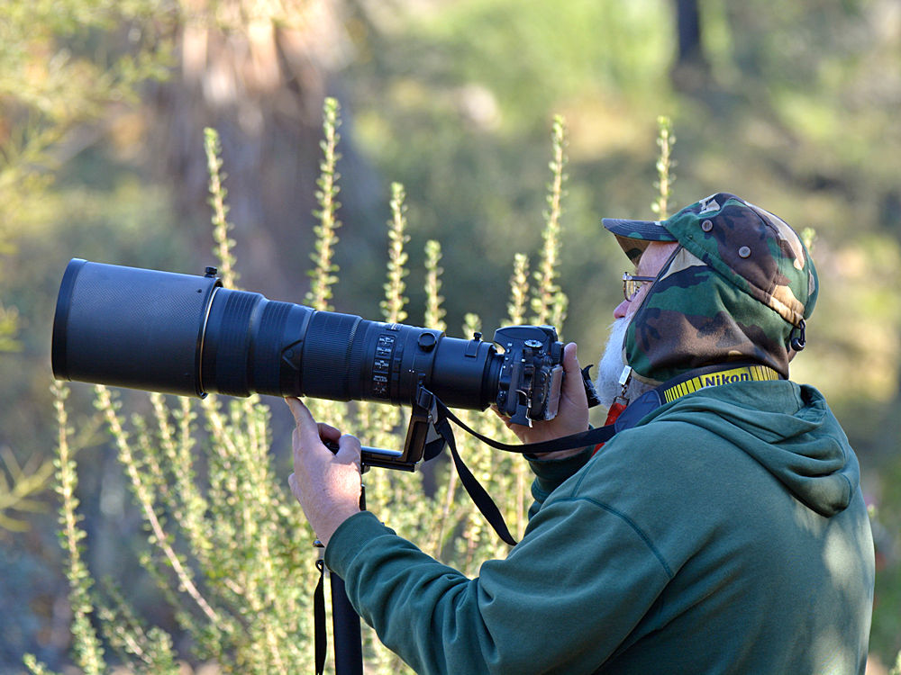 Photog2.jpg