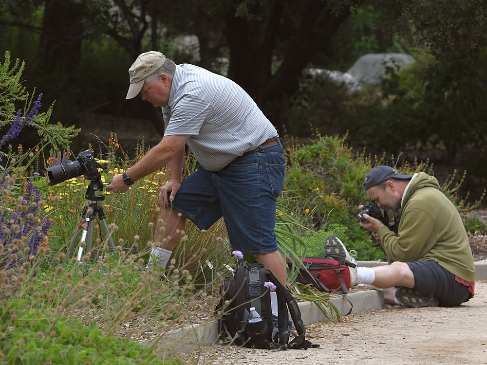 Photog2.jpg