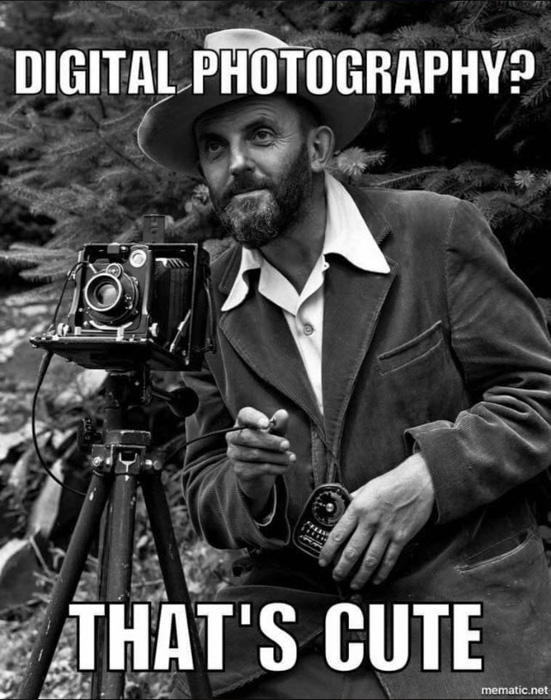 photography-memes-6.jpg
