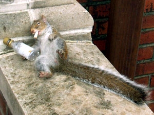 Picture 223.jpg
