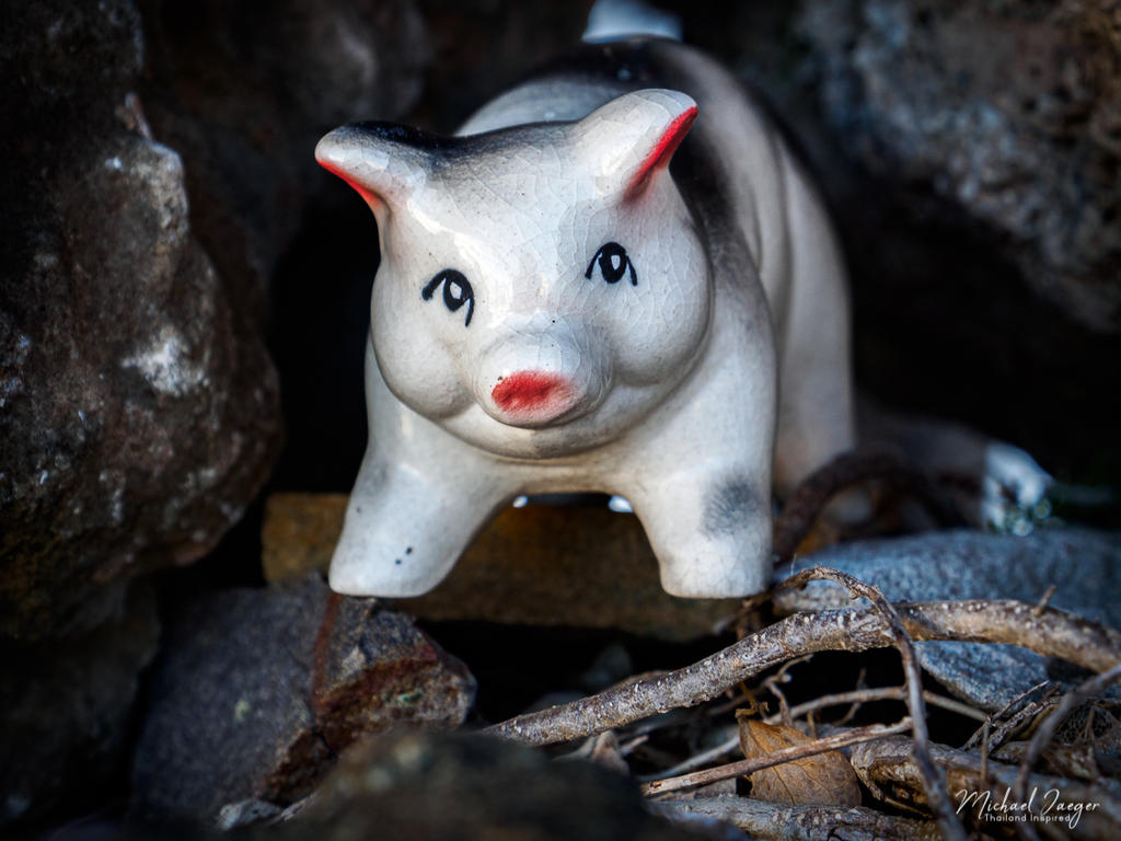 pig-1.jpg