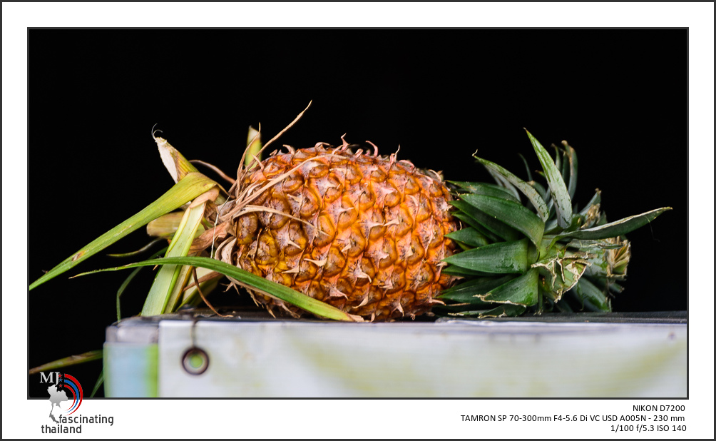 pineapple-1.jpg