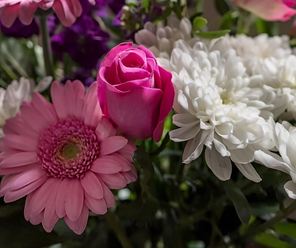 pink-1.jpg