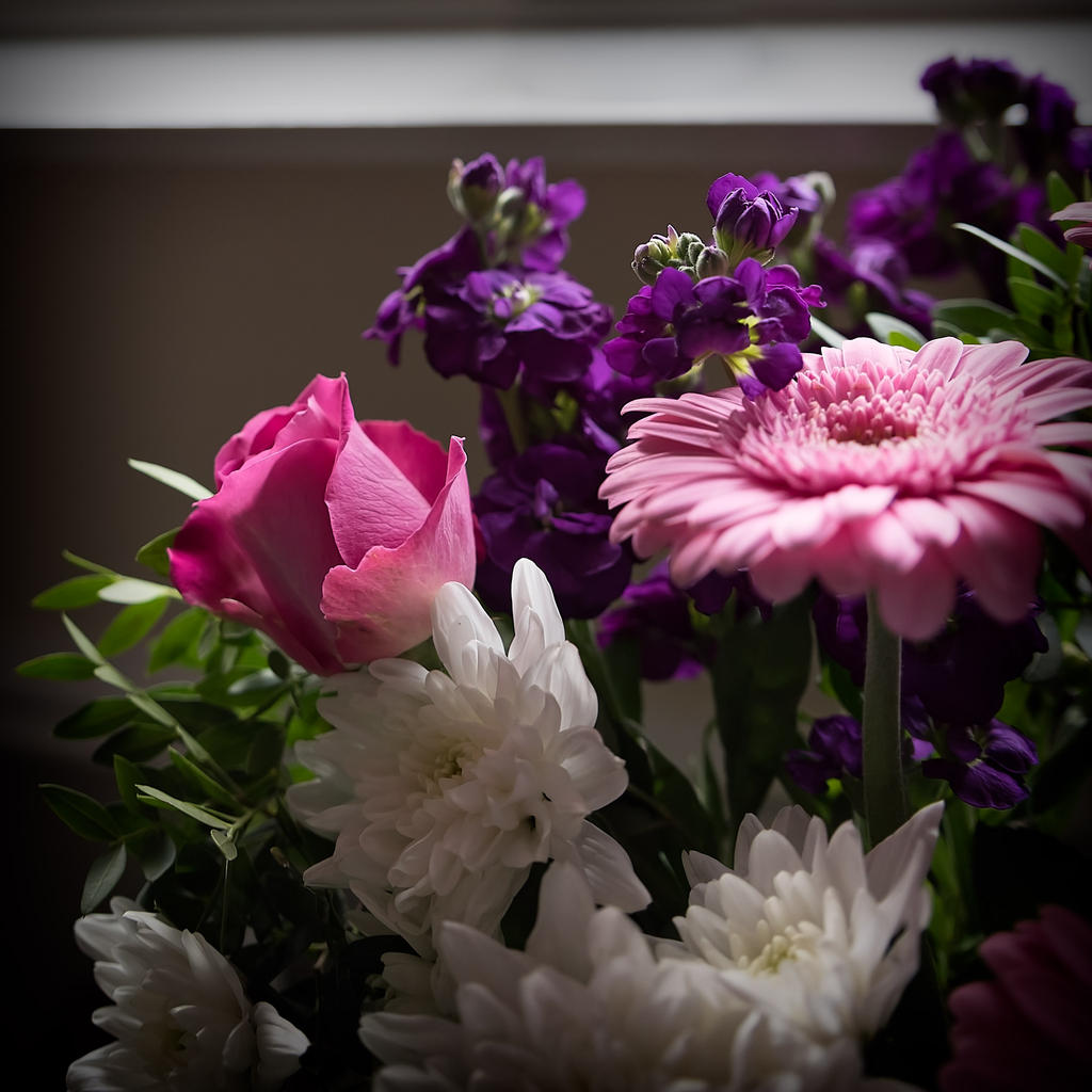 Pink-2.jpg