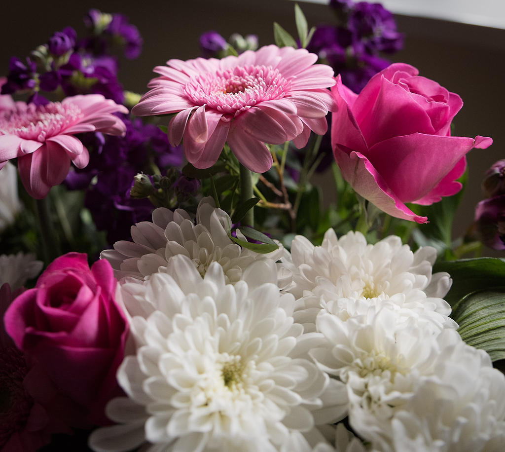 Pink-3.jpg