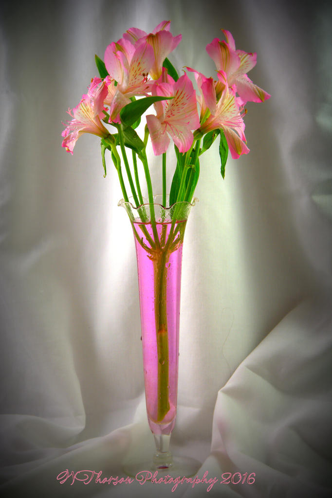 Pink Gladiolas 9-27-2016.jpg