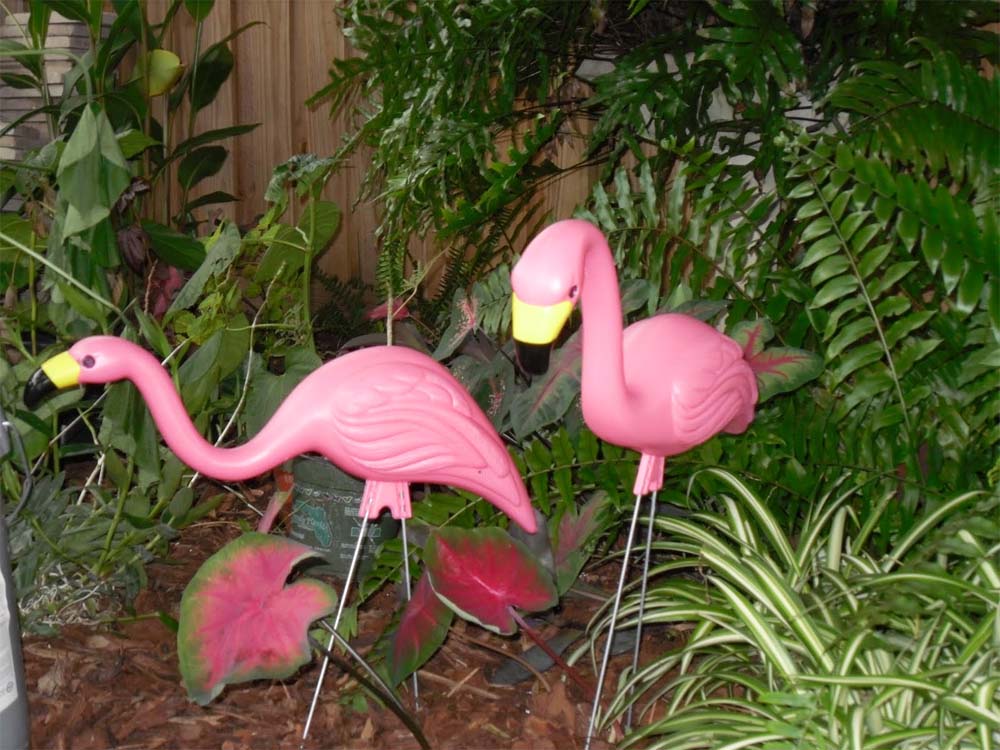 pink.jpg