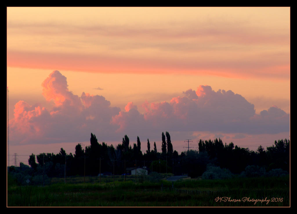 Pink Reflection Clouds 7-1-2016.jpg