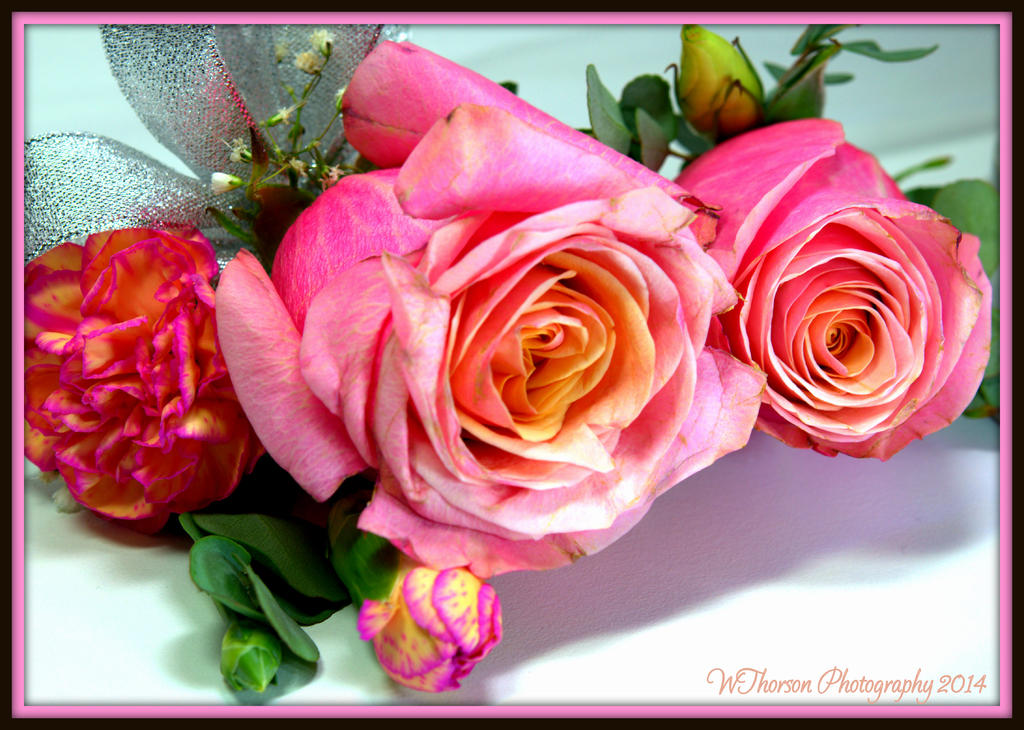 Pink Roses 2.jpg