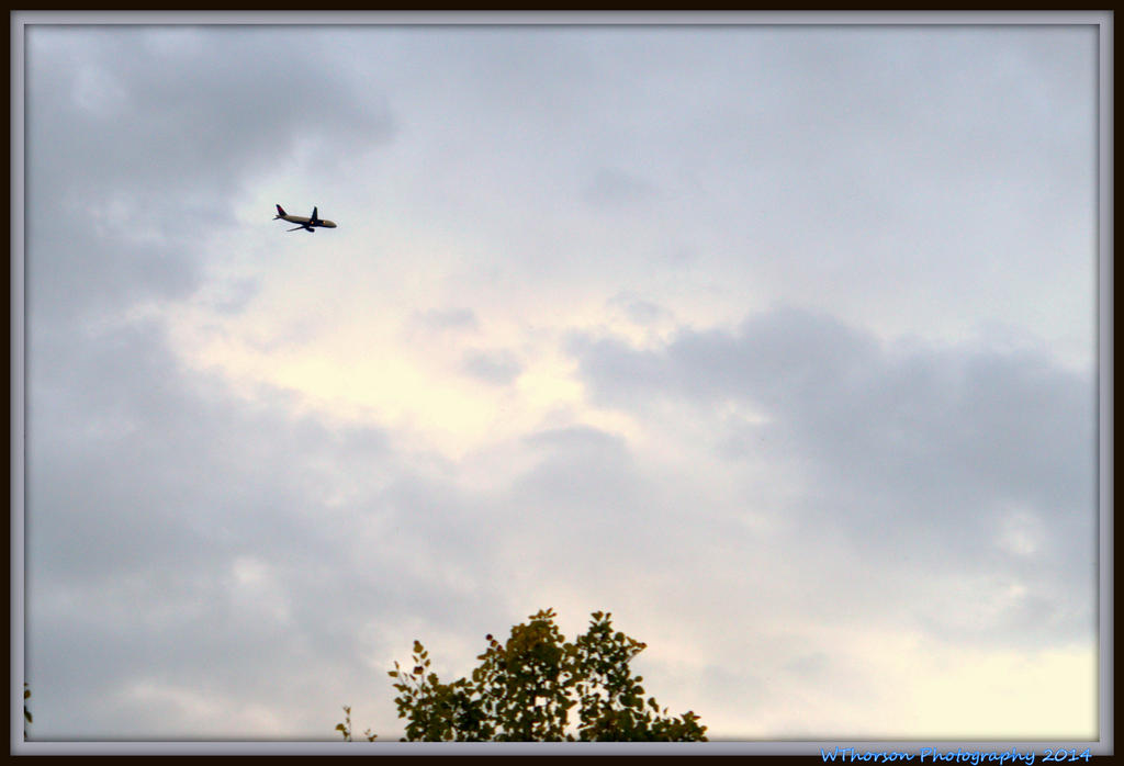 Plane over My House.jpg