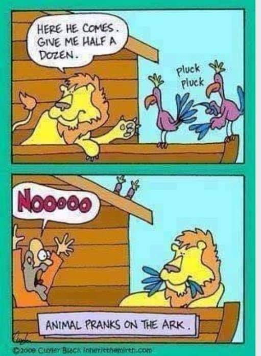 pluck.jpg
