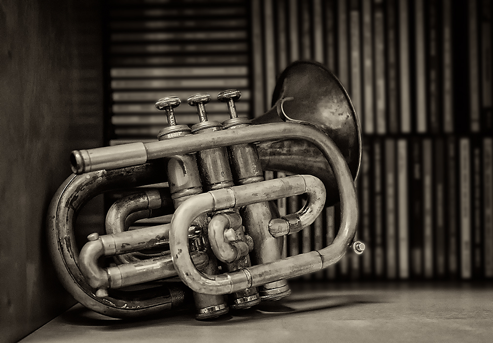 Pocket Trumpet at Rest.jpg