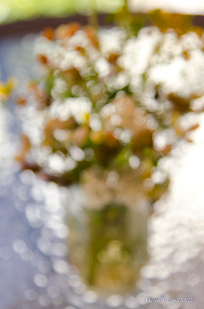 Pointillism bokeh.jpg