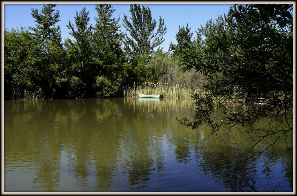 POND 050.jpg